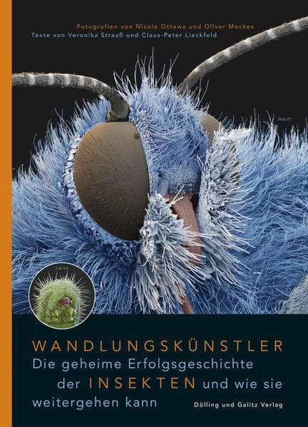Wandlungskünstler. Die geheime Erfolgsgeschichte der Insekten und wie sie weitergehen kann