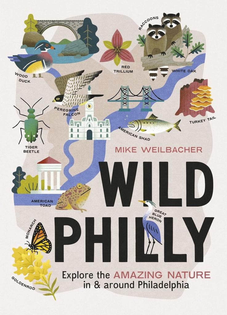 Wild Philly