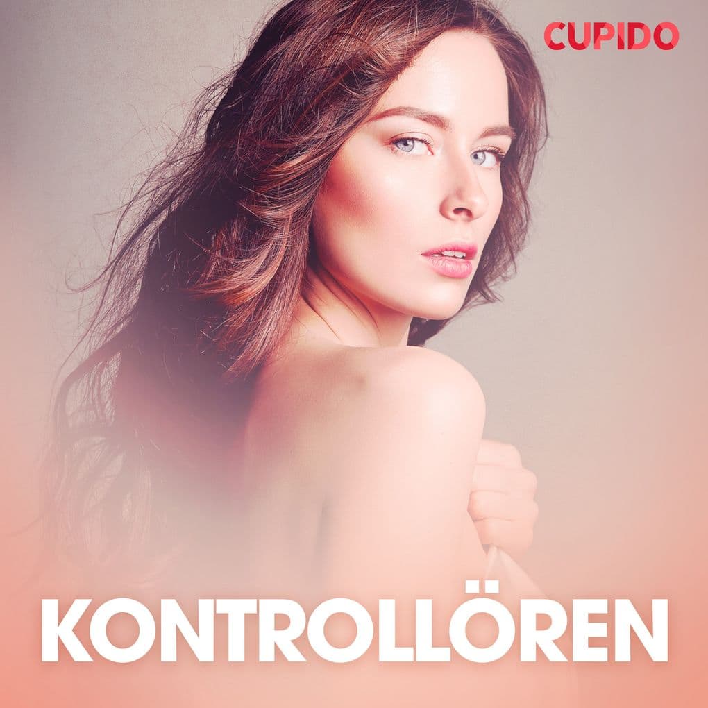 Kontrollören erotiska noveller