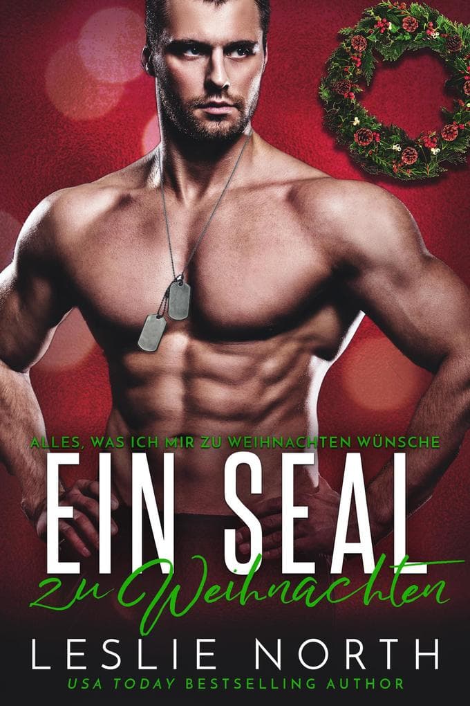 Ein SEAL zu Weihnachten (Alles, was ich mir zu Weihnachten wünsche, #2)