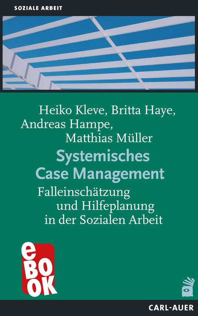Systemisches Case Management