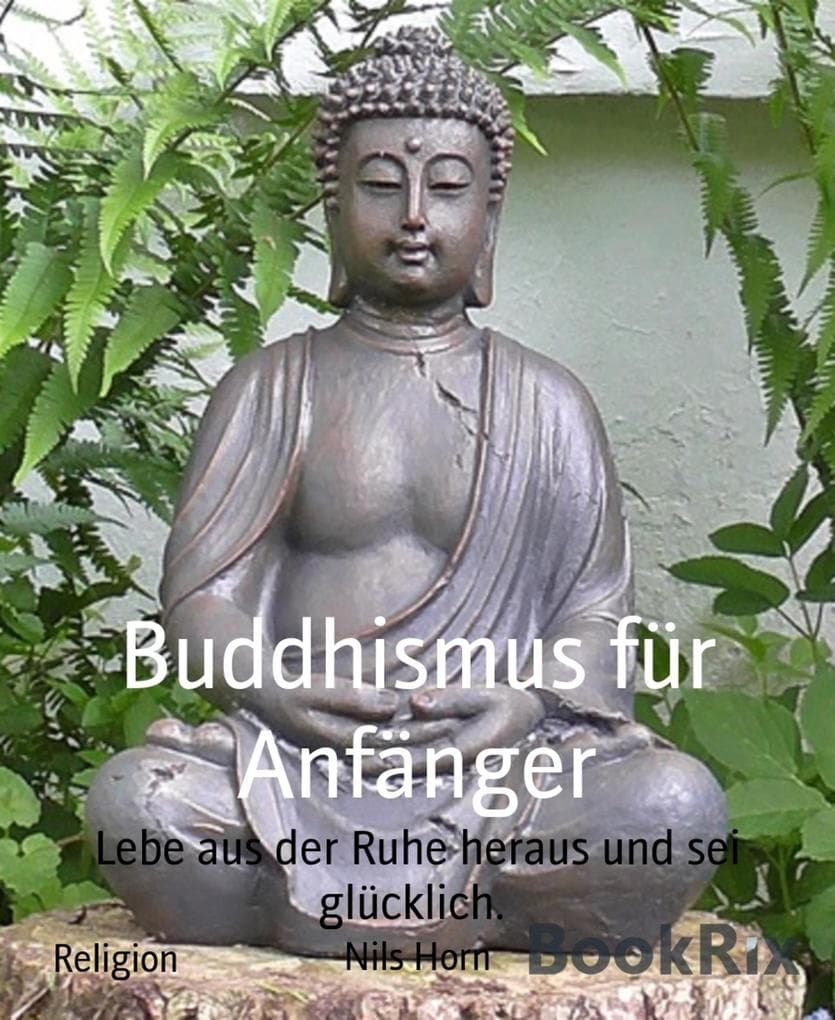 Buddhismus für Anfänger
