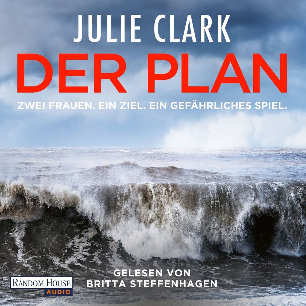 Der Plan Zwei Frauen. Ein Ziel. Ein gefährliches Spiel