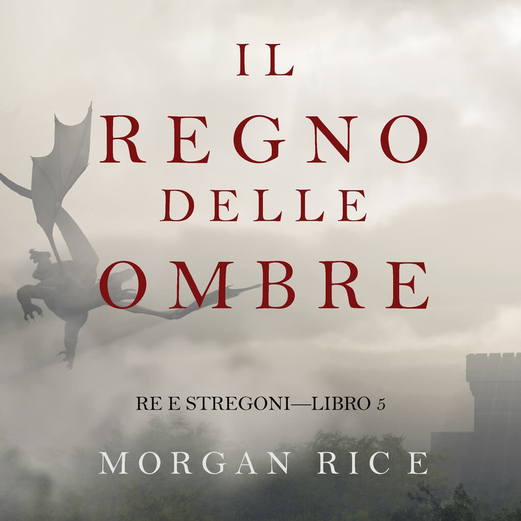 Il Regno Delle Ombre (Re e Stregoni'Libro #5)