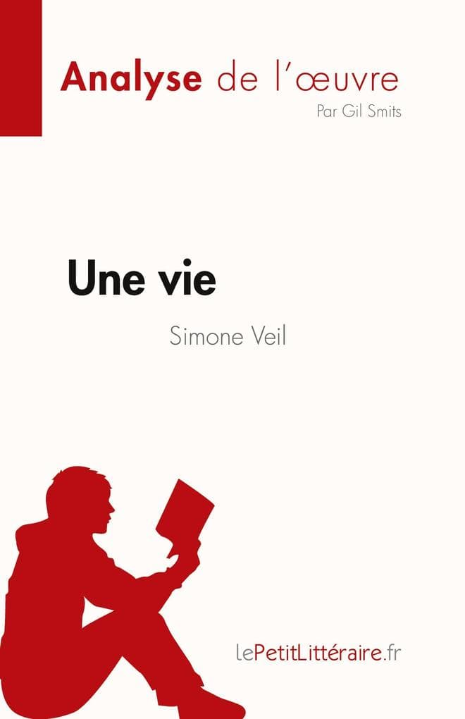 Une vie de Simone Veil (Analyse de l'uvre)