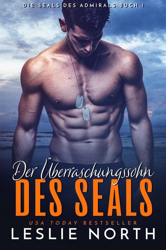 Der Überraschungssohn des SEALs (Die SEALs des Admirals, #1)