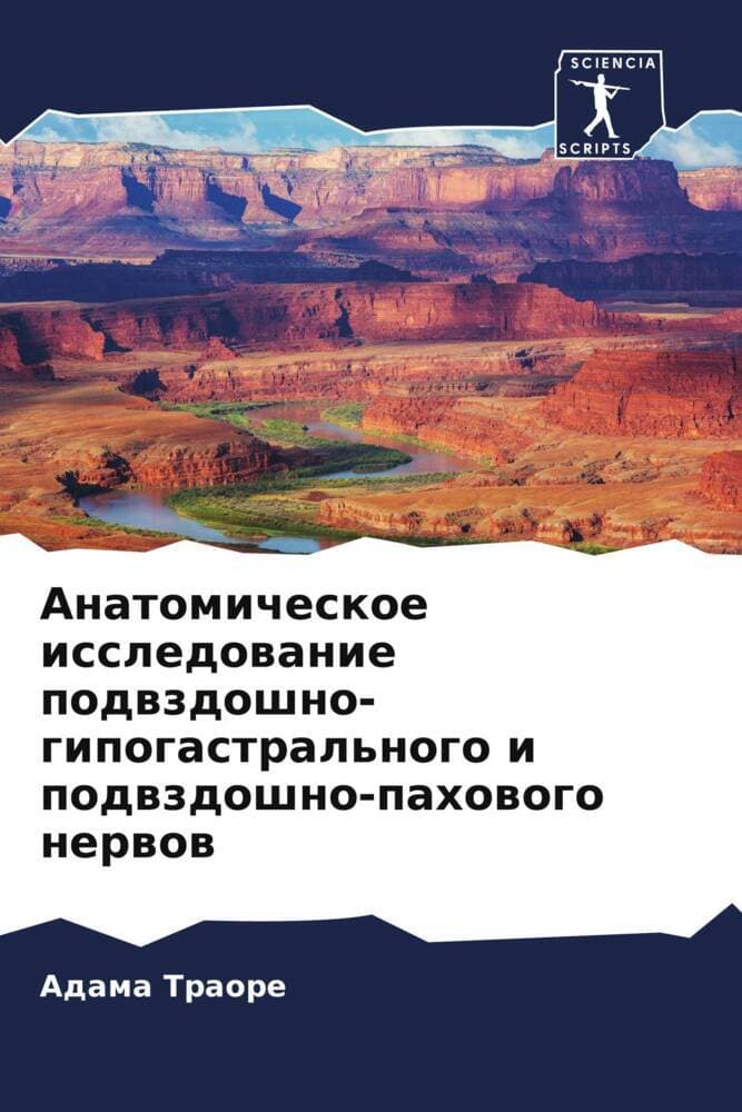 Anatomicheskoe issledowanie podwzdoshno-gipogastral'nogo i podwzdoshno-pahowogo nerwow