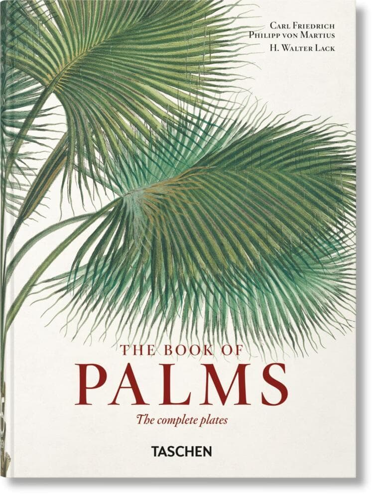 Martius. The Book of Palms