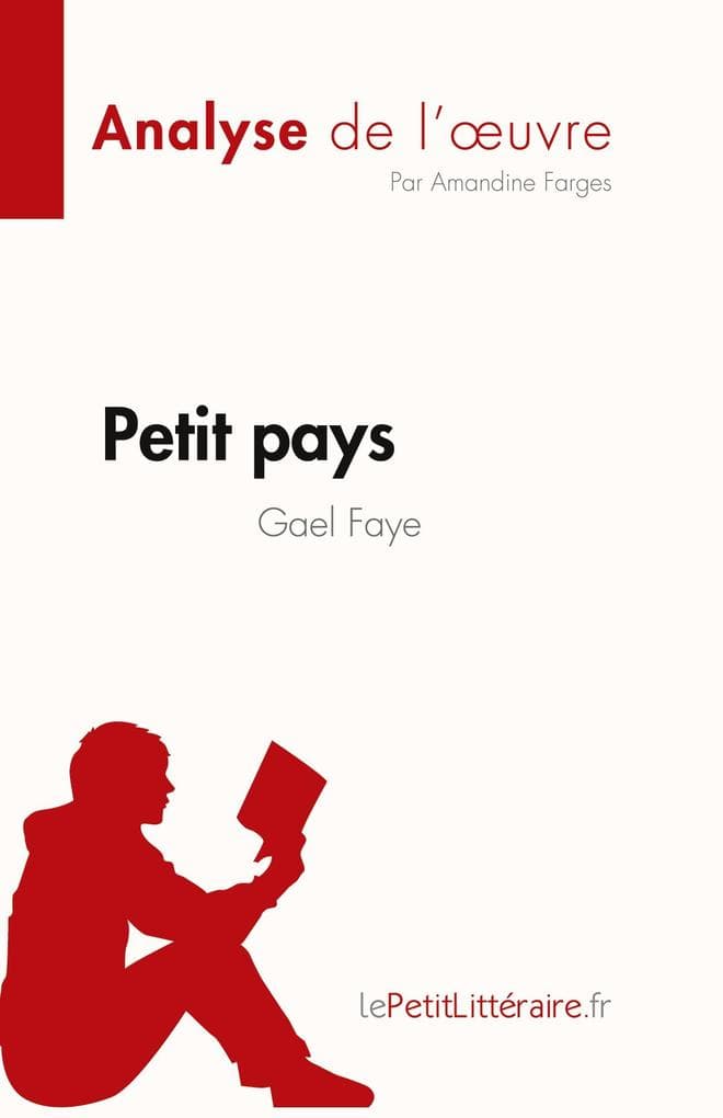 Petit pays de Gael Faye (Analyse de l'uvre)
