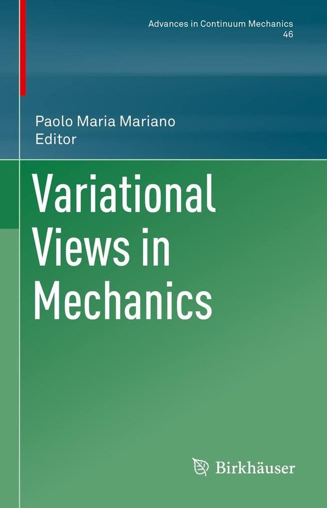 Variational Views in Mechanics