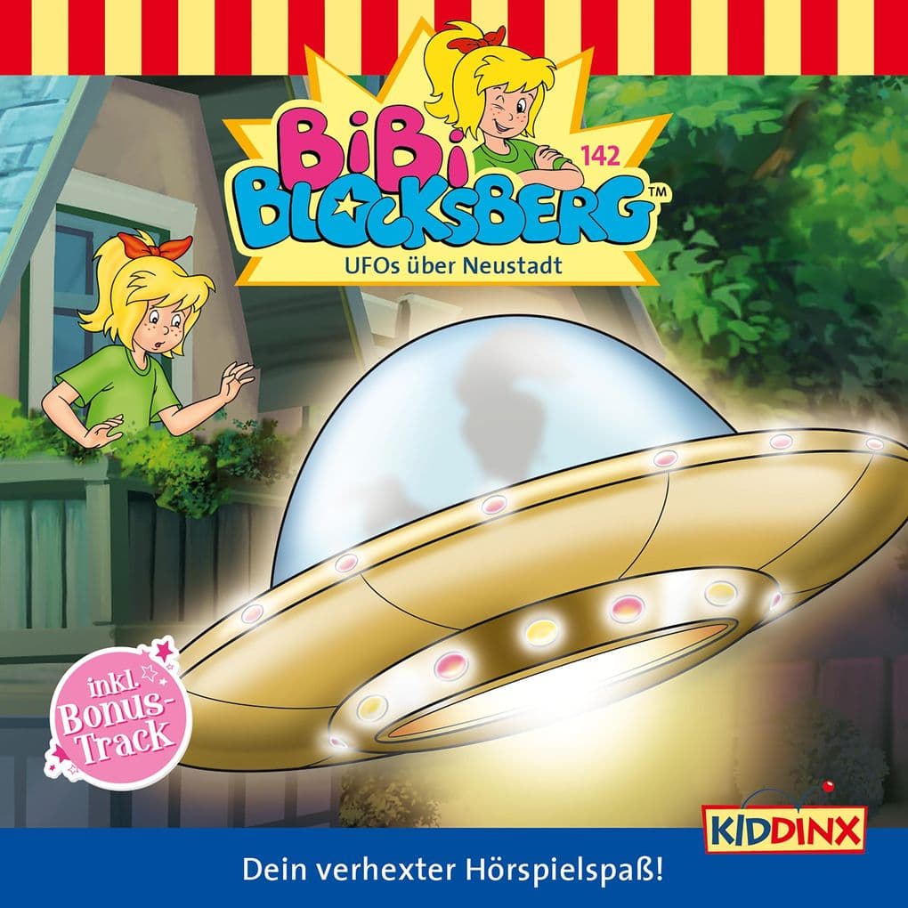 UFOs über Neustadt