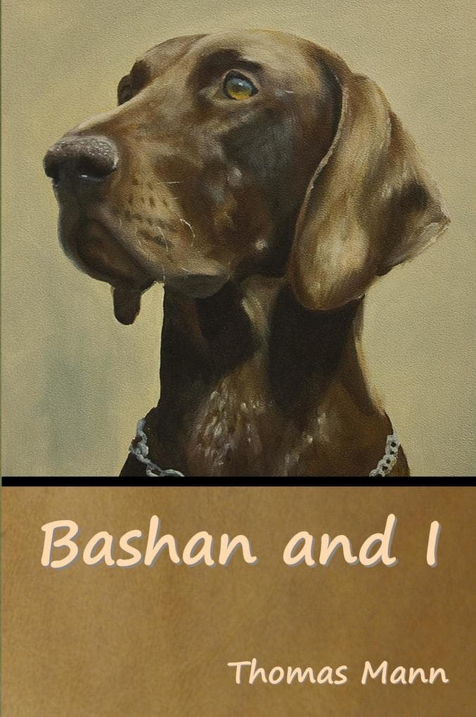 Bashan and I