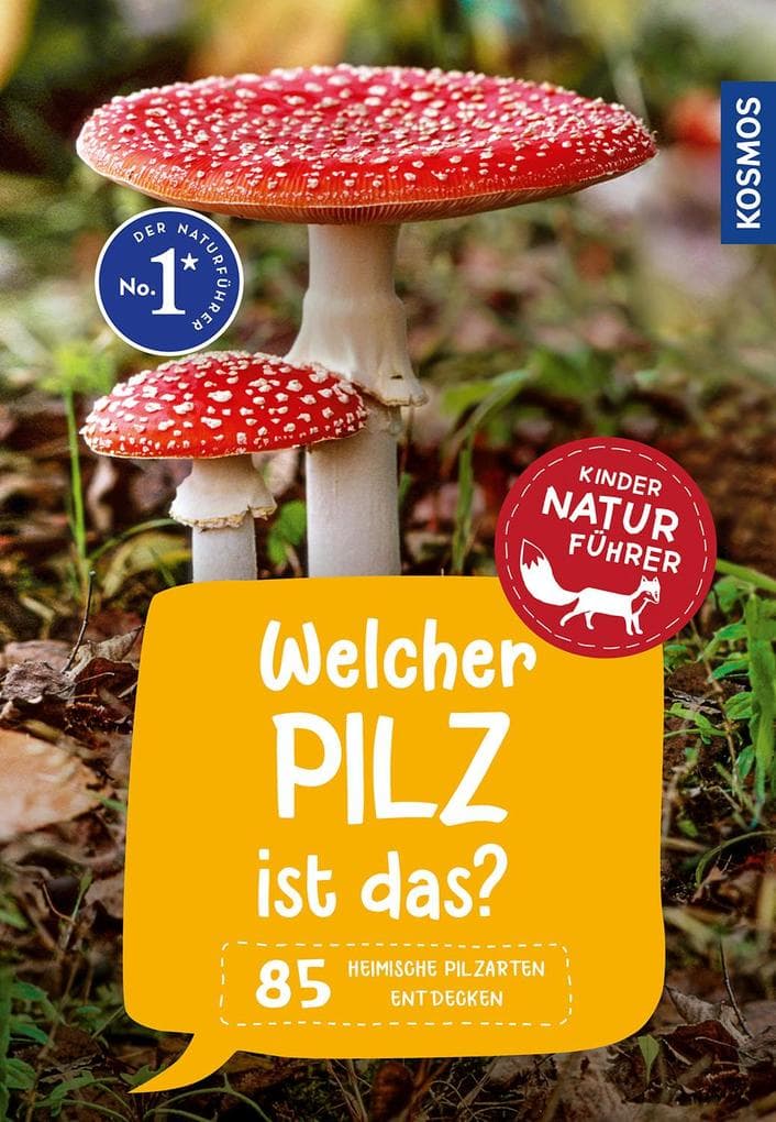 Welcher Pilz ist das? Kindernaturführer