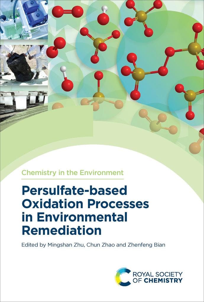 Persulfate-based Oxidation Processes in Environmental Remediation