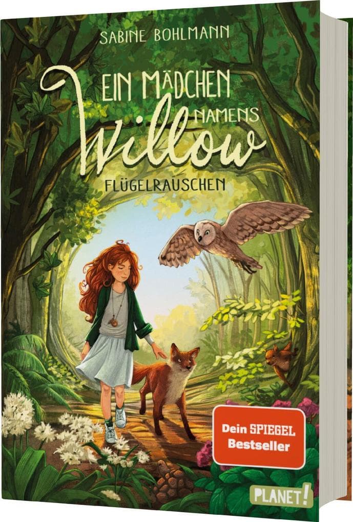 Ein Mädchen namens Willow 3: Flügelrauschen