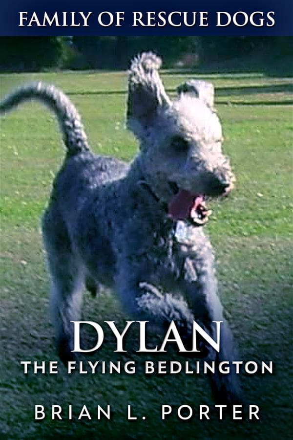 Dylan