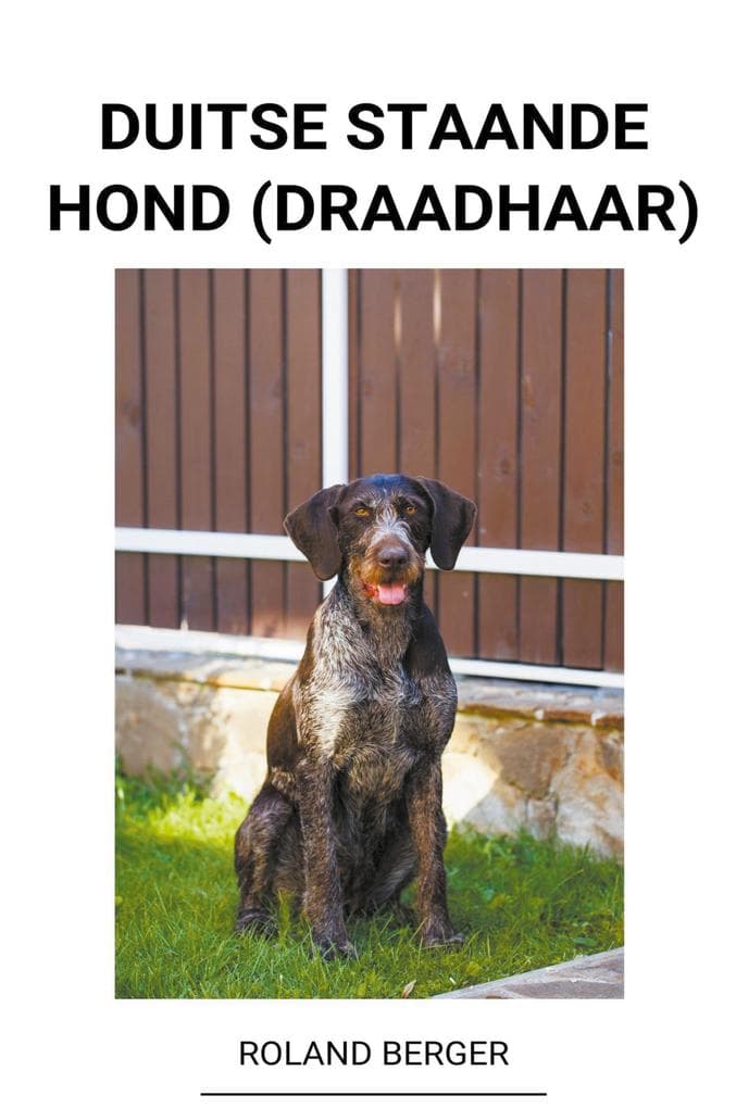 Duitse staande hond (draadhaar)