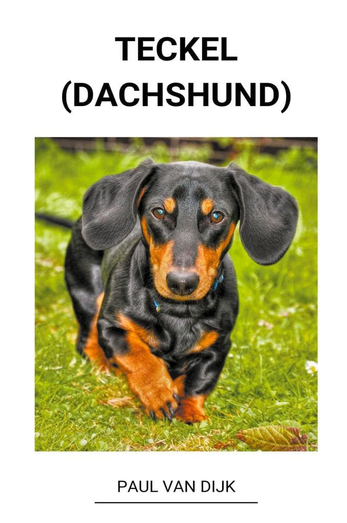 Teckel (dachshund)