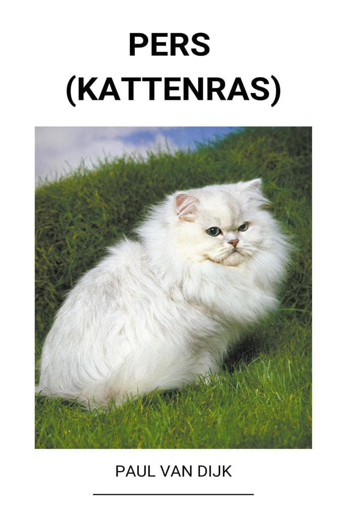 Pers (kattenras)