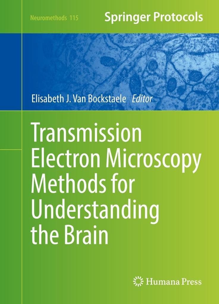 Transmission Electron Microscopy Methods for Understanding the Brain