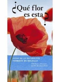 Qué flor es esta?