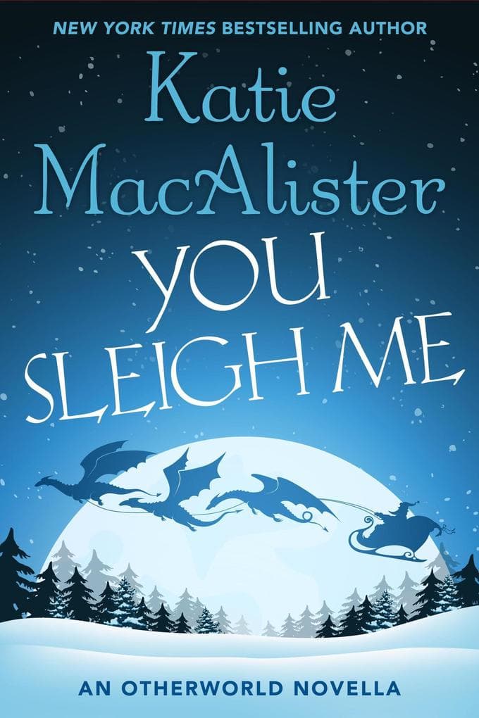 You Sleigh Me (A Dragon Hunter Novel, #4)