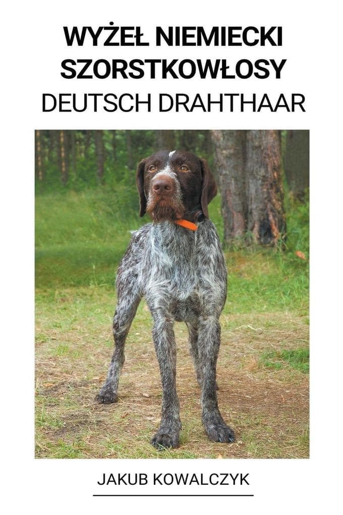 Wye Niemiecki Szorstkowosy (Deutsch Drahthaar)