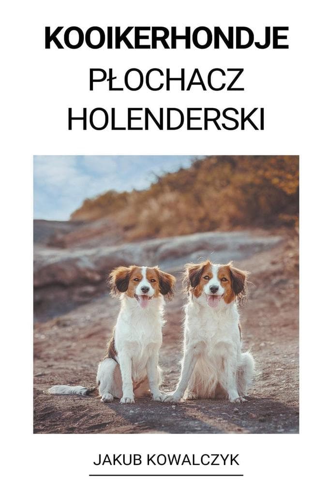 Kooikerhondje (Pochacz Holenderski)
