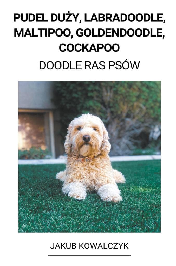 Pudel Duy, Labradoodle, Maltipoo, Goldendoodle, Cockapoo (Doodle Ras Psów)