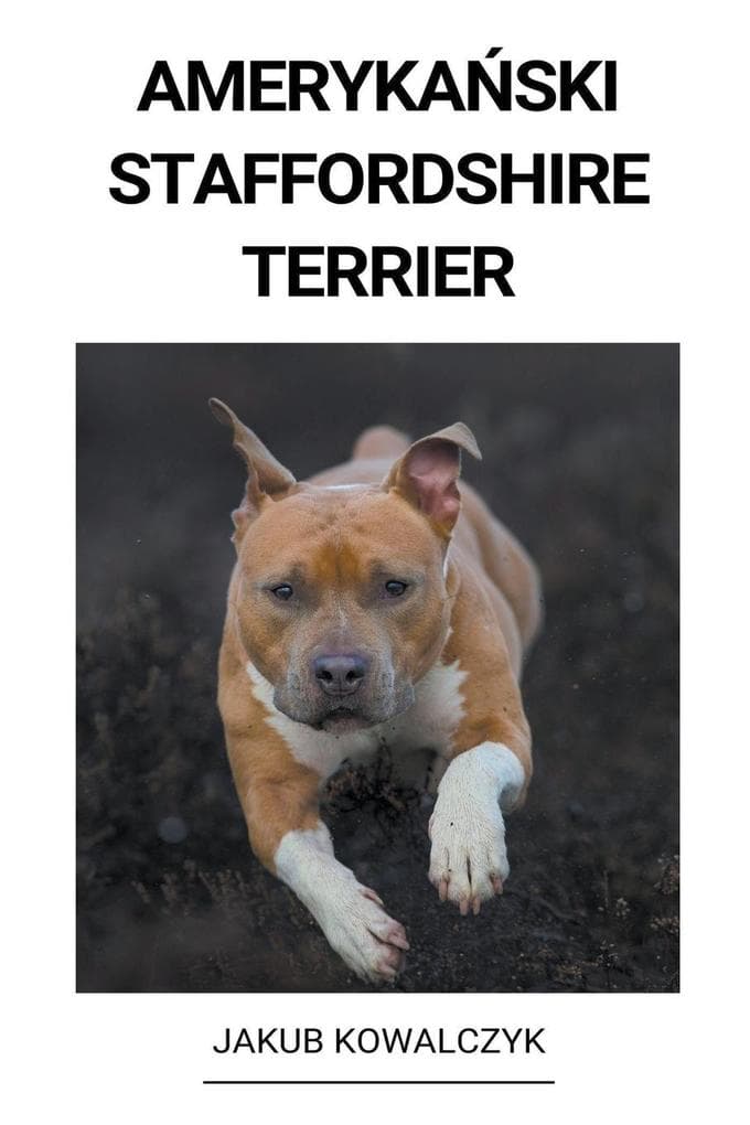 Amerykaski Staffordshire Terrier