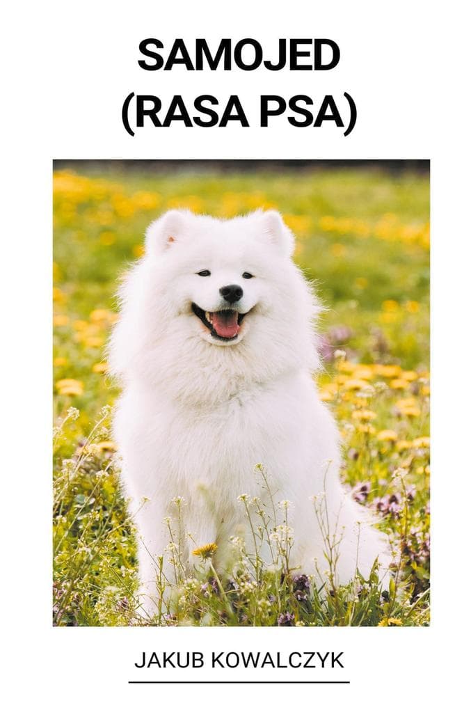 Samojed (Rasa Psa)