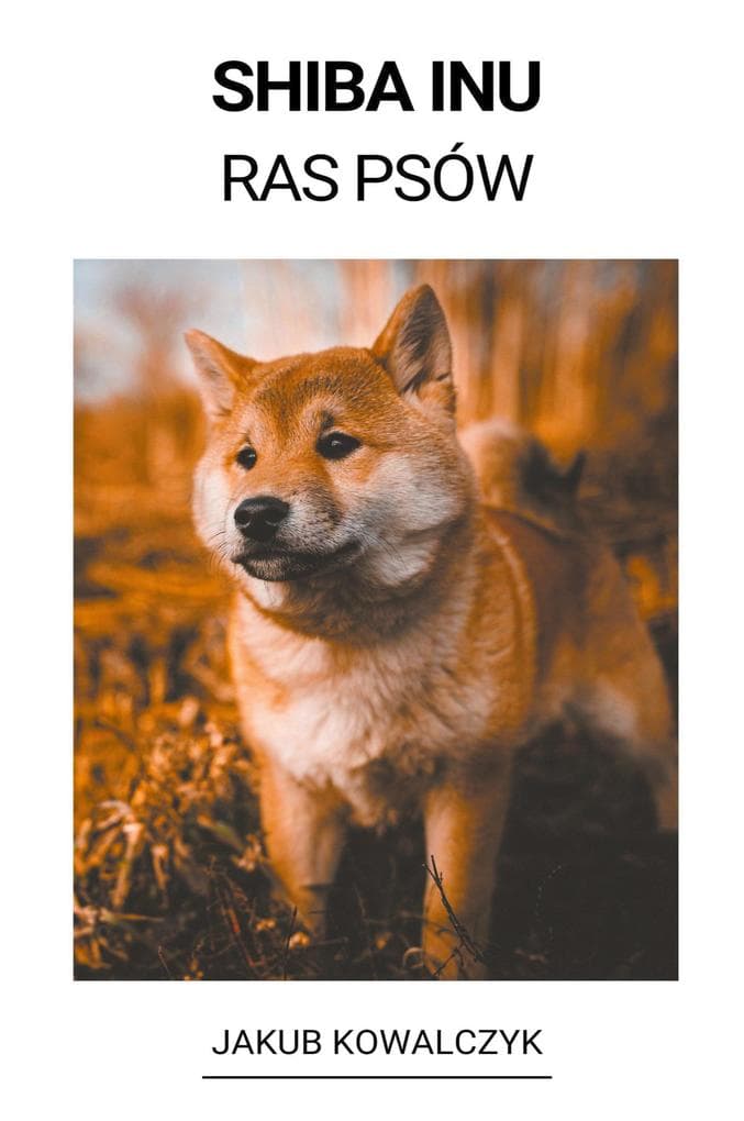 Shiba Inu (Ras Psów)