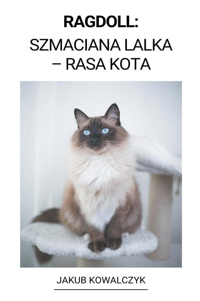 Ragdoll