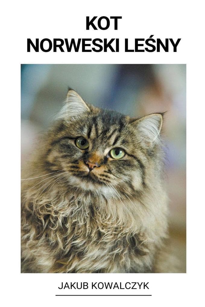 Kot Norweski Leny