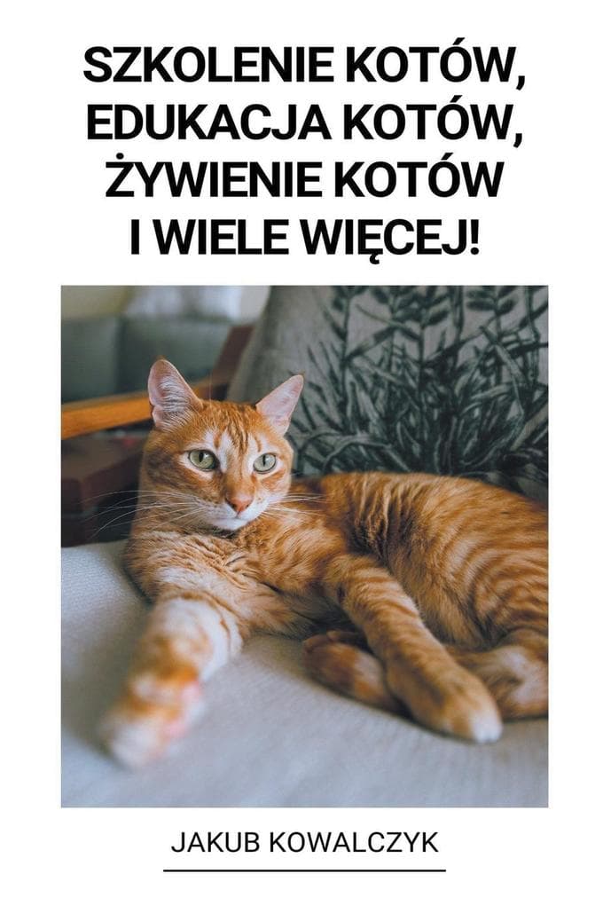 Szkolenie Kotów, Edukacja Kotów, ywienie Kotów i Wiele Wicej!