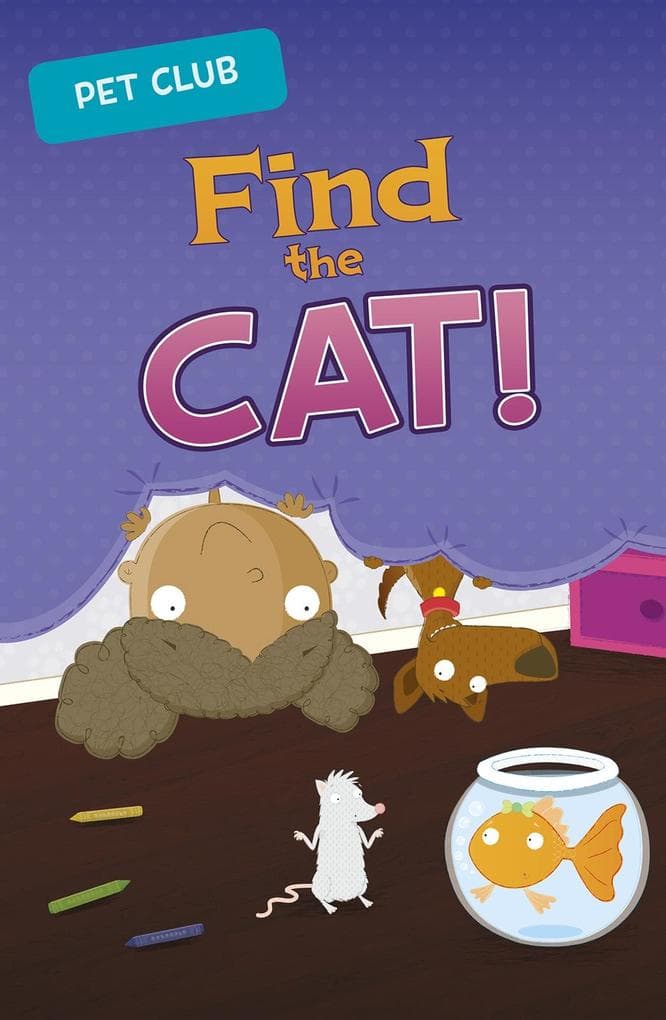 Find the Cat!