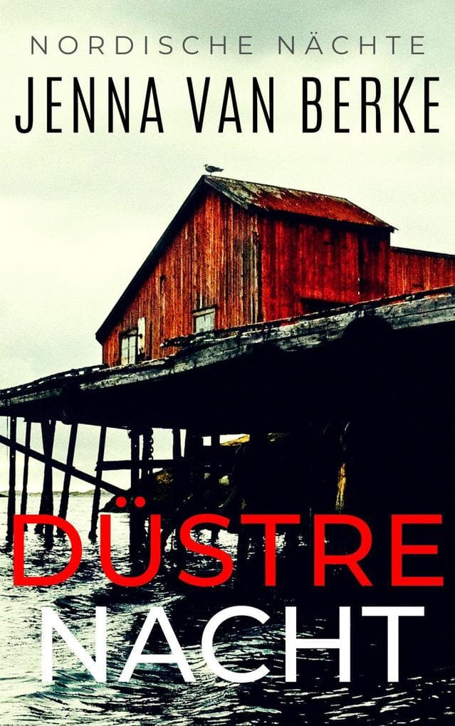 Düstre Nacht (Nordische Nächte, #3)