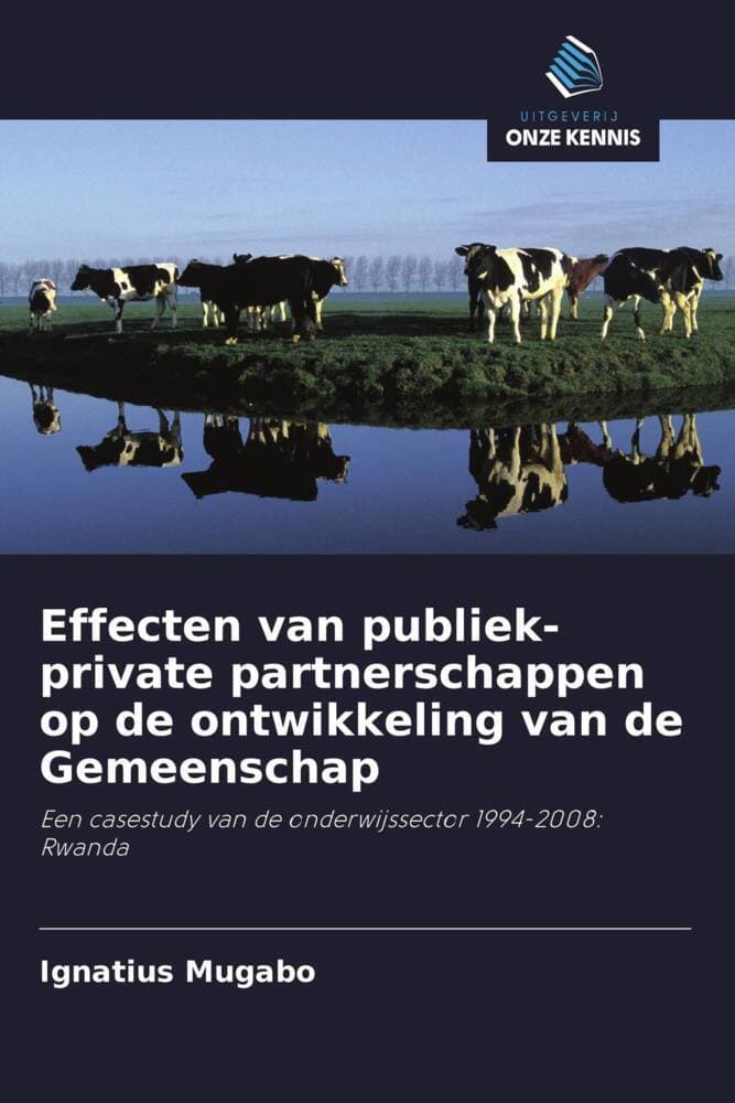 Effecten van publiek-private partnerschappen op de ontwikkeling van de Gemeenschap