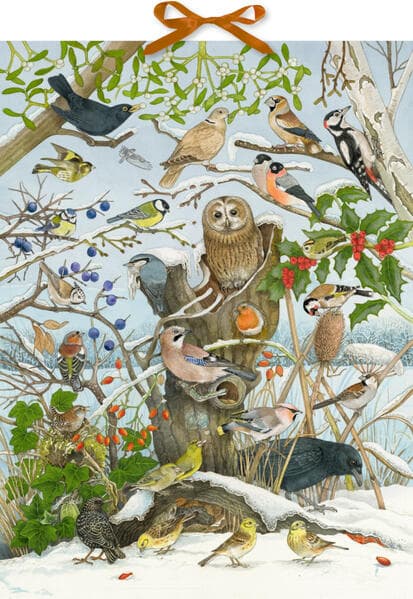 Coppenrath - Unsere Vögel im Winter, Sound-Adventskalender