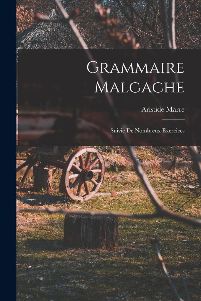 Grammaire Malgache: Suivie de Nombreux Exercices
