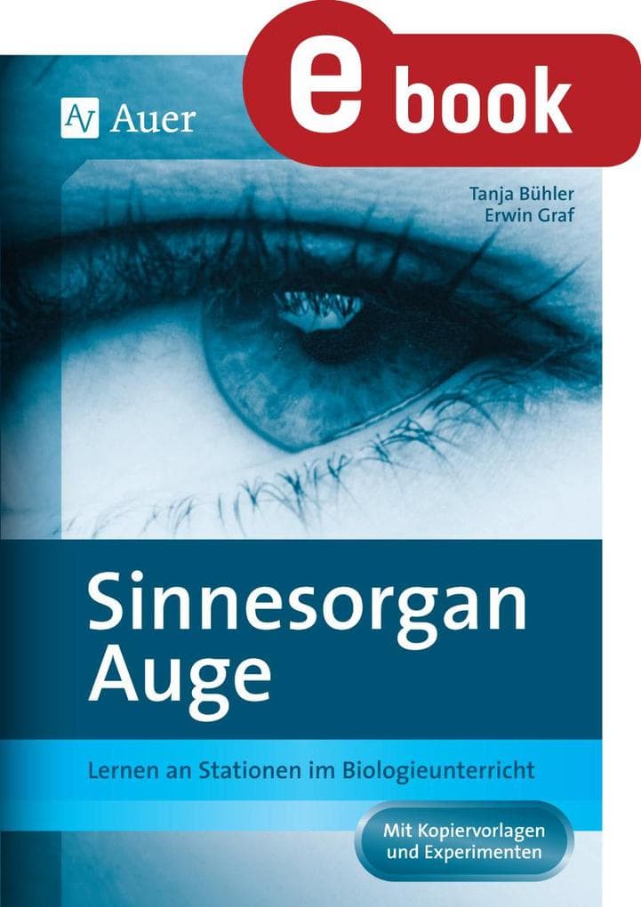 Sinnesorgan Auge