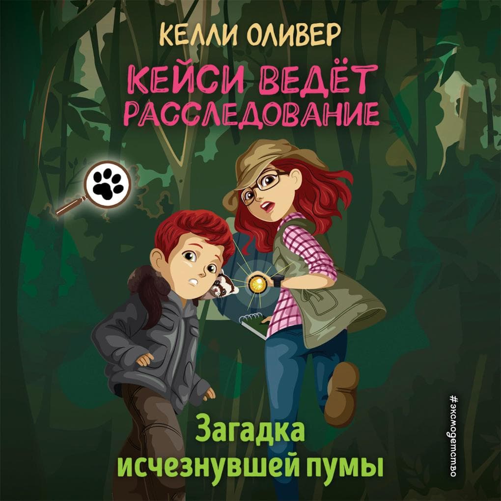 Zagadka ischeznuvshey pumy
