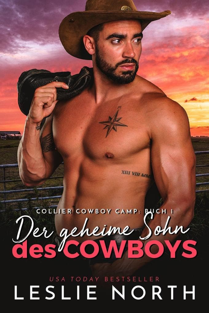 Der geheime Sohn des Cowboys (Collier Cowboy Camp Serie, #1)