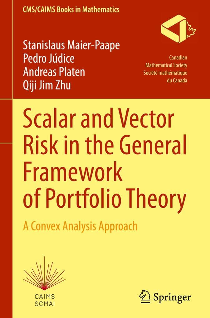 Scalar and Vector Risk in the General Framework of Portfolio Theory