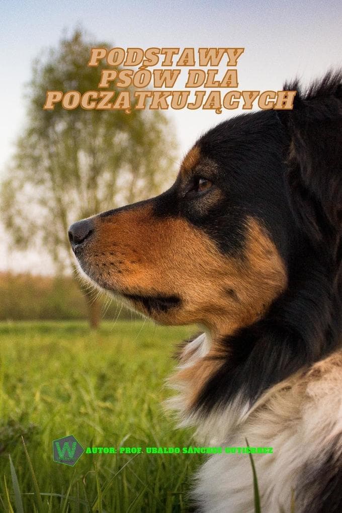Podstawy psów dla pocztkujcych