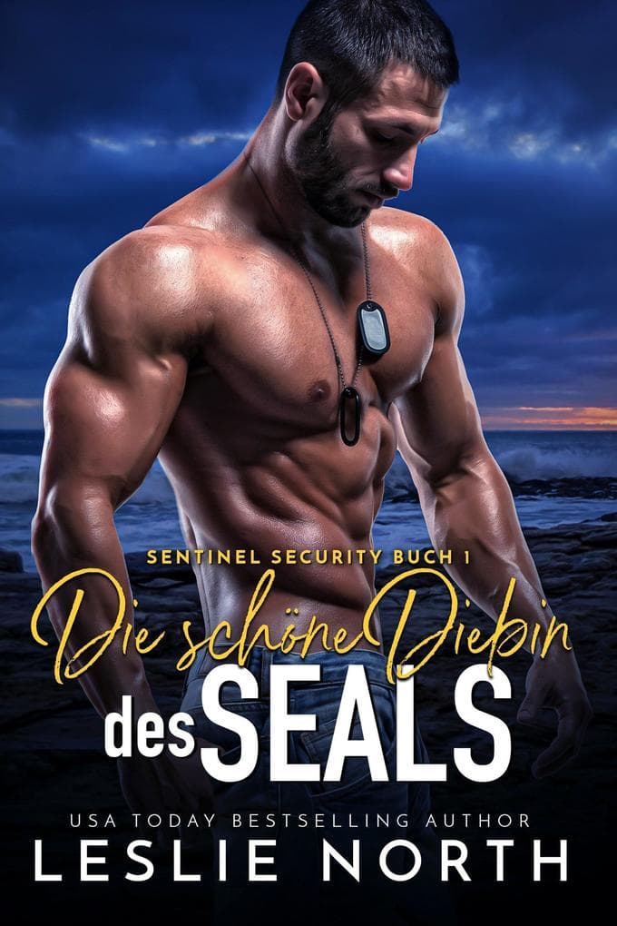 Die schöne Diebin des SEALs (Sentinel Security, #1)