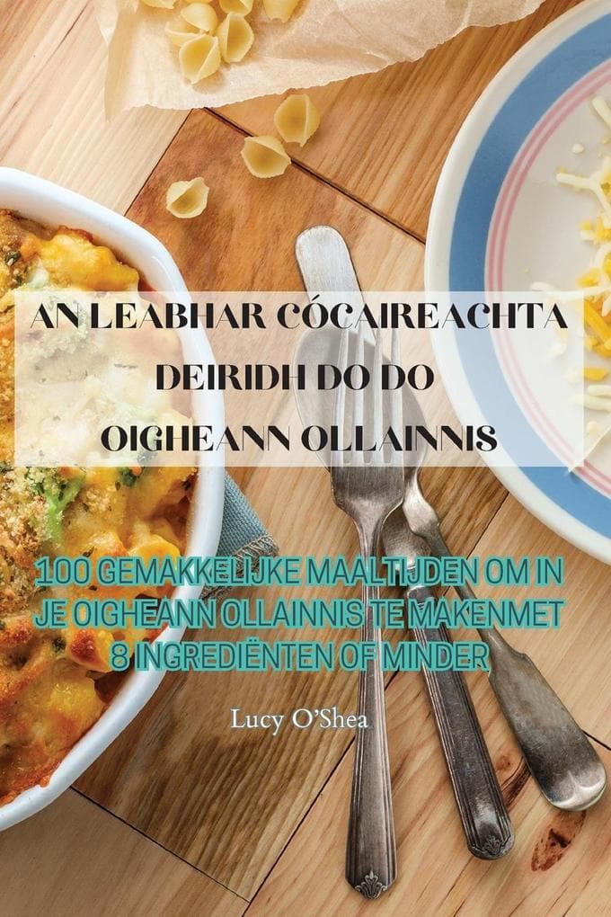 AN LEABHAR CÓCAIREACHTA DEIRIDH DO DO OIGHEANN OLLAINNIS