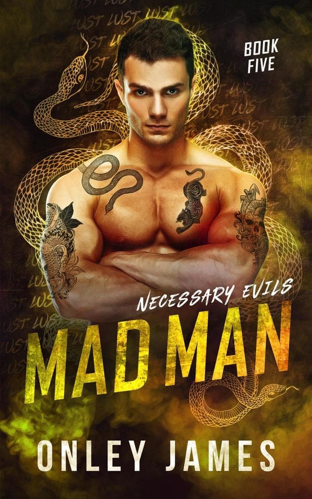 Mad Man (Necessary Evils, #5)