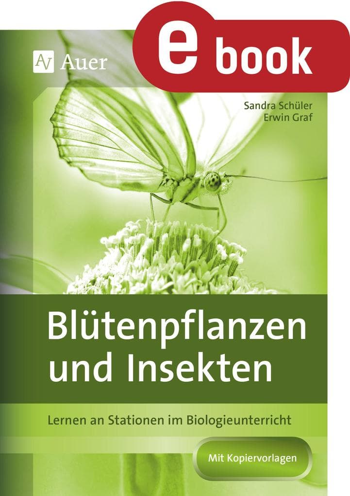 Blütenpflanzen und Insekten