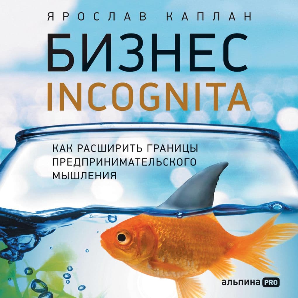 Biznes incognita: Kak rasshirit' granicy predprinimatel'skogo myshleniya